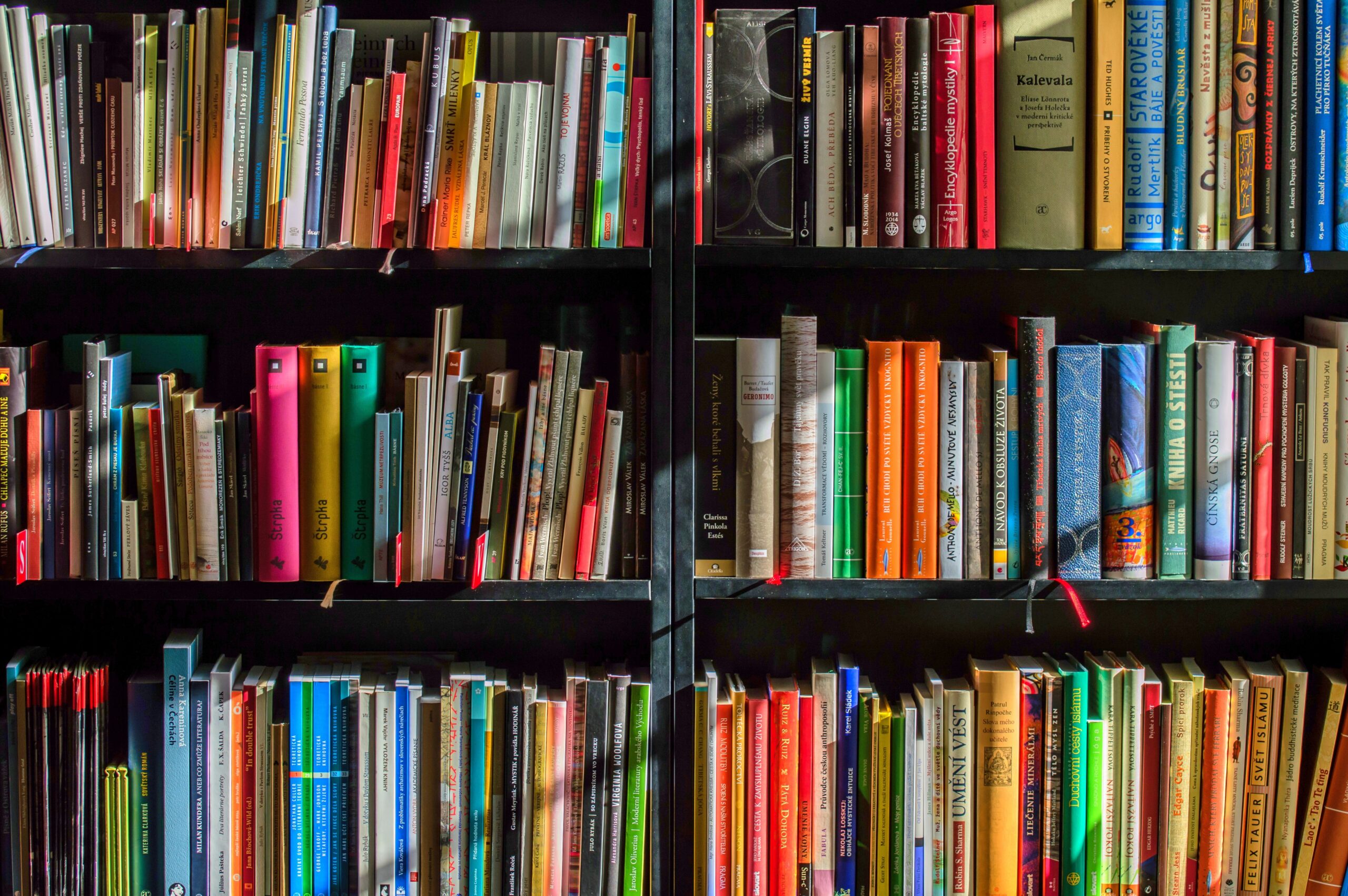 Books on book shelves.